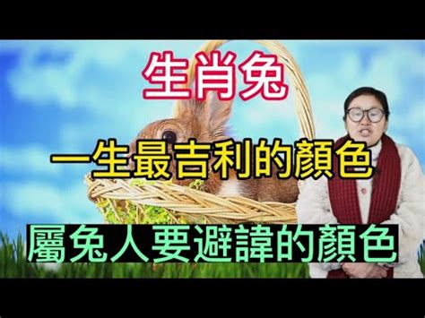 八字幸運色查詢|一生幸運色免費測算